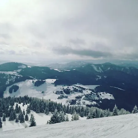 Magura 37 * 도노발리