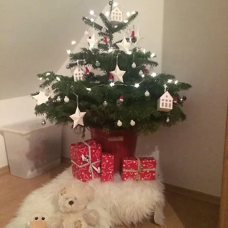 Magura 37 * דונובאלי